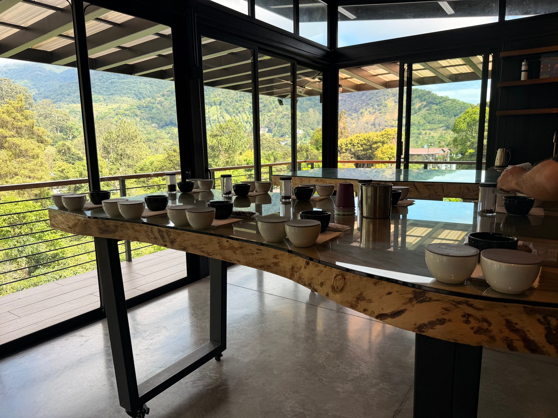 From the Highlands of Chiriquí to Your Roastery: How Jökoma Sources Its Coffee