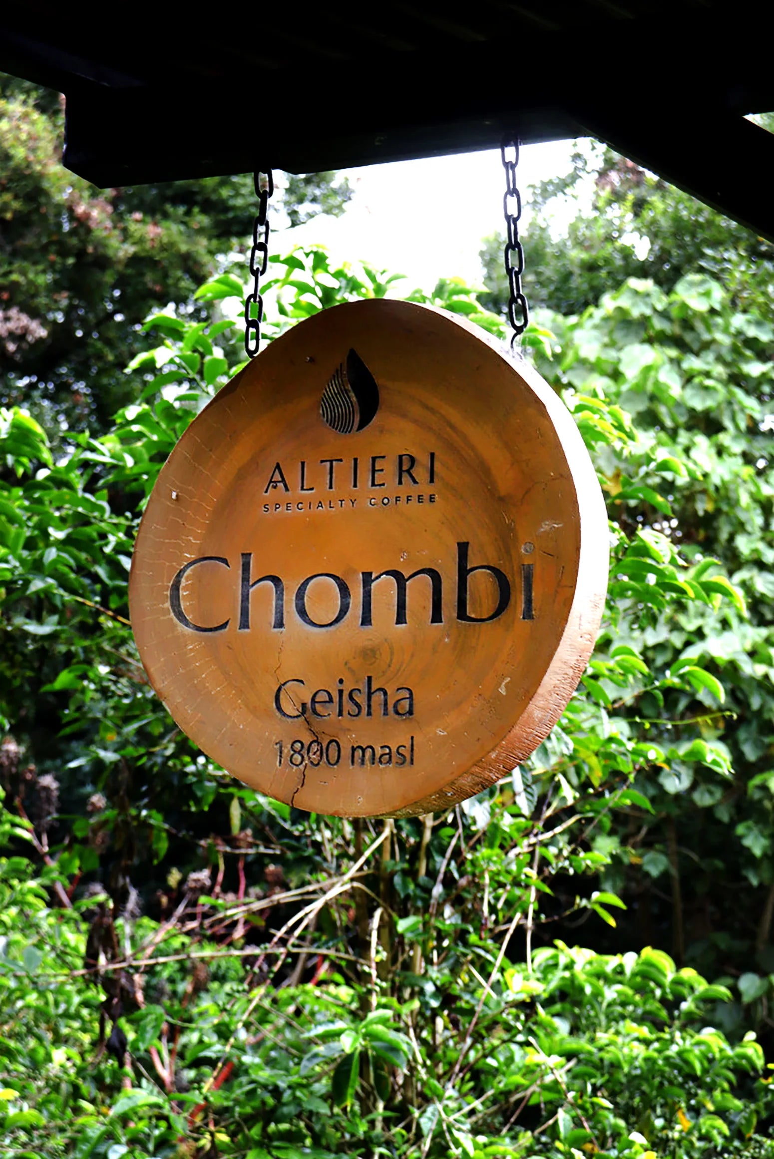 Dekä · Geisha Washed | Chombi, Altieri